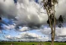 [英超]同城德比输球 利物浦争冠掉队.